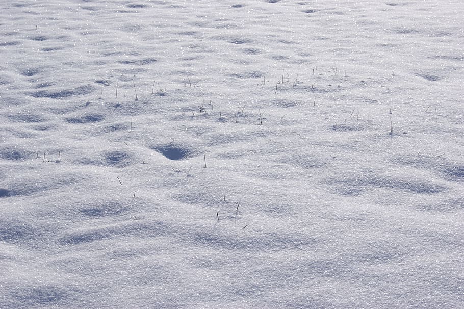 Snow, Winter, Wintry, Grass, Frozen, Ice, backgrounds, full frame HD wallpaper