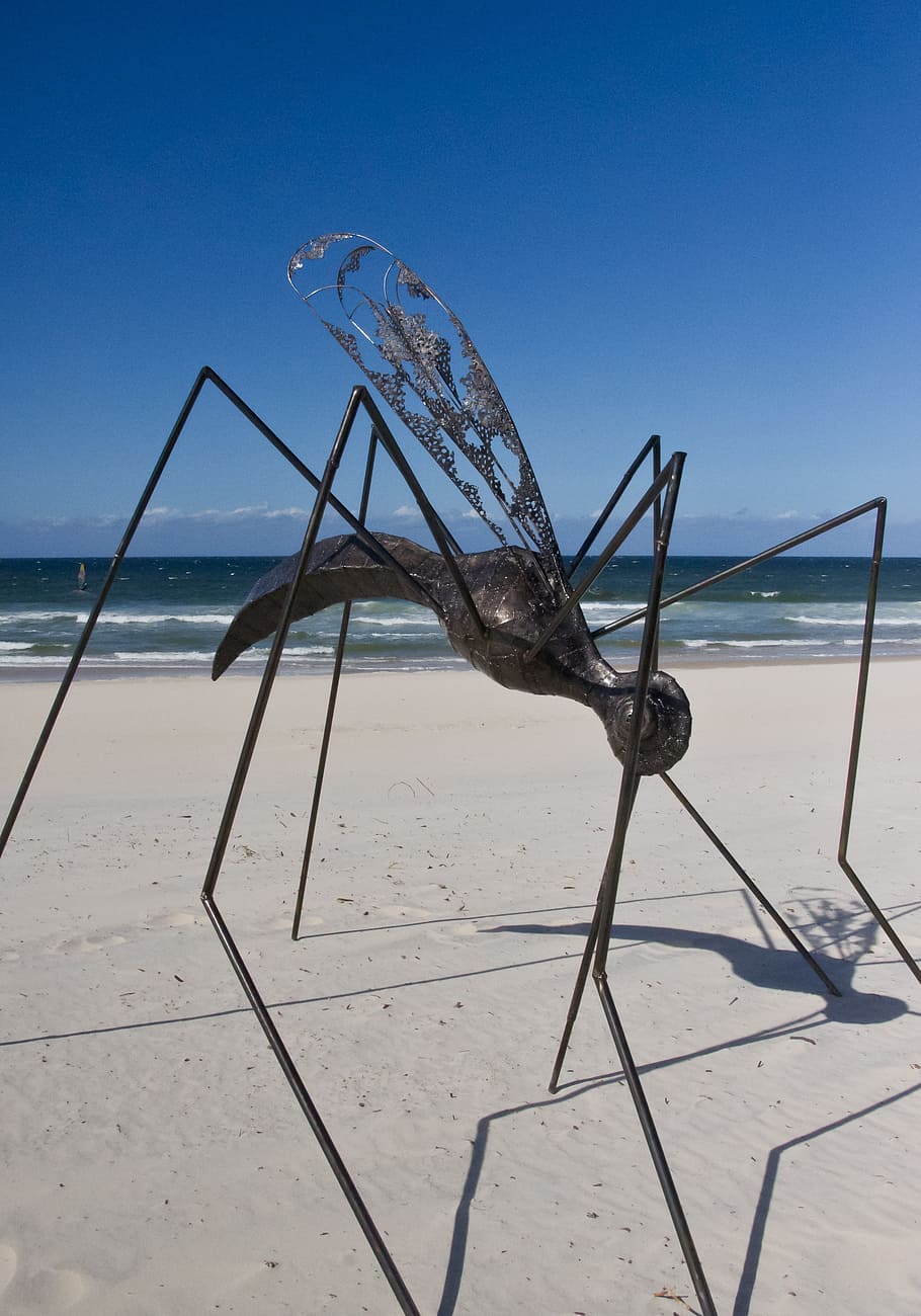 insect, sculpture, art, black, large, legs, model, metal, contemporary, HD wallpaper