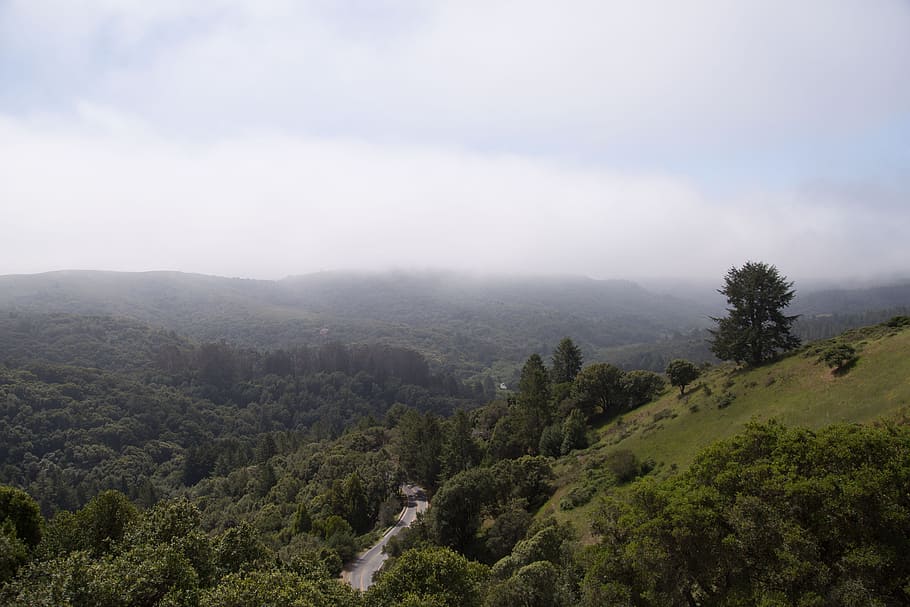 birds eye view of a mountain, aerial photography of road between trees under cloudy sky HD wallpaper