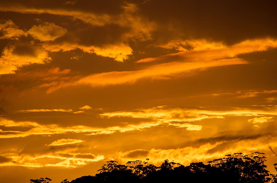 sky, clouds, sunset, orange, golden, horizon, trees, australia HD wallpaper