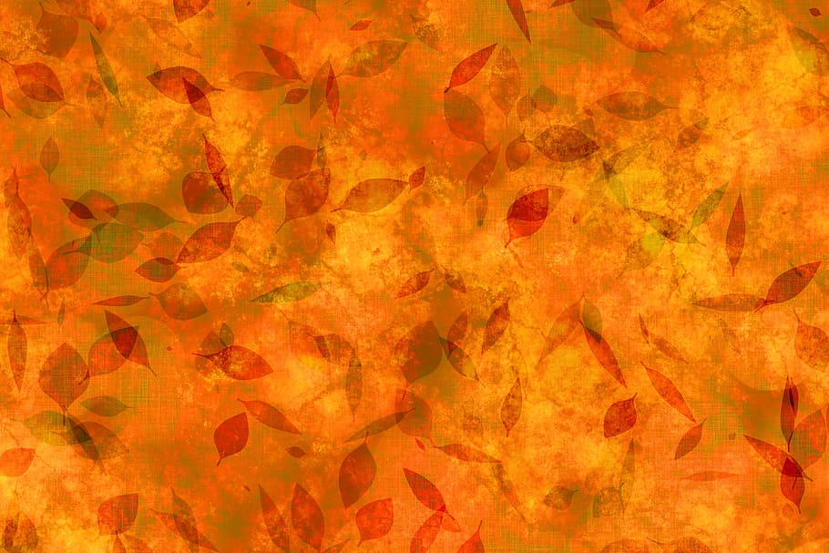 orange foliage pattern, flowers, leaves, autumn, aesthetic, branch, HD wallpaper