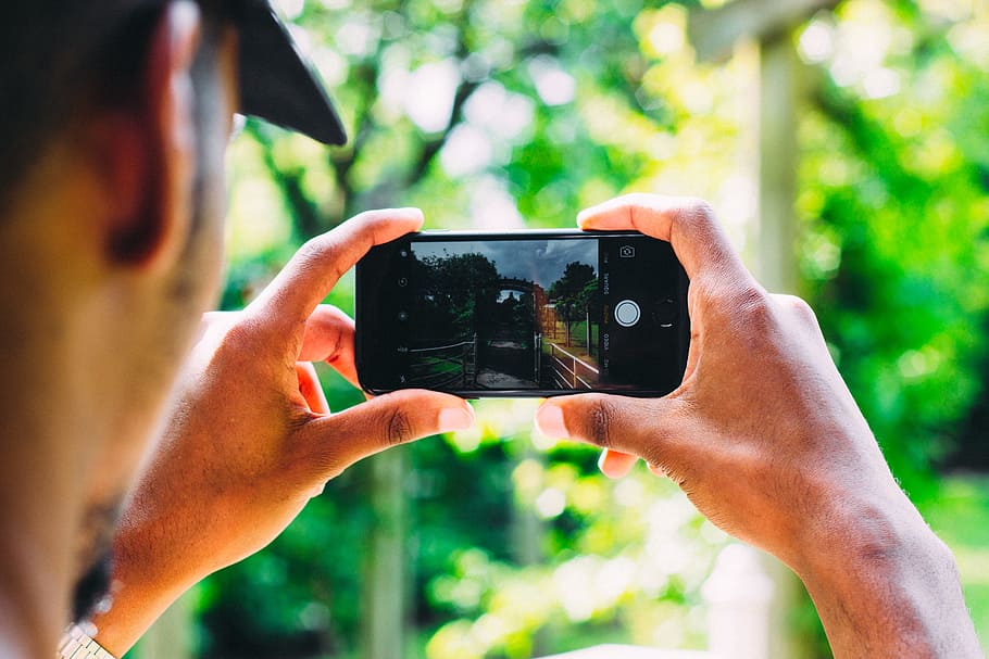 person taking photo on plant using smartphone, person taking photo of trees HD wallpaper