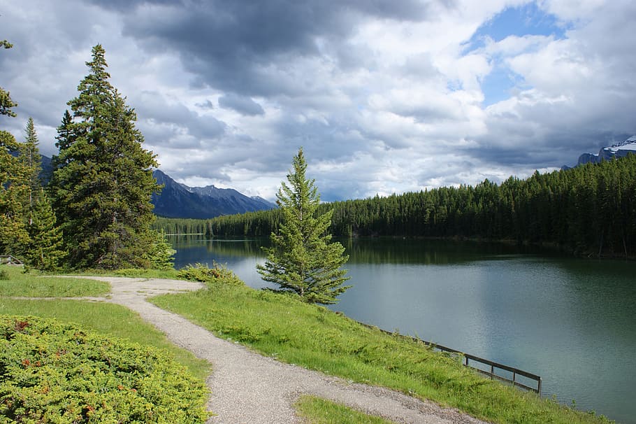 banff, canada, walk, nature, mountain, park, summer, wild, environment HD wallpaper