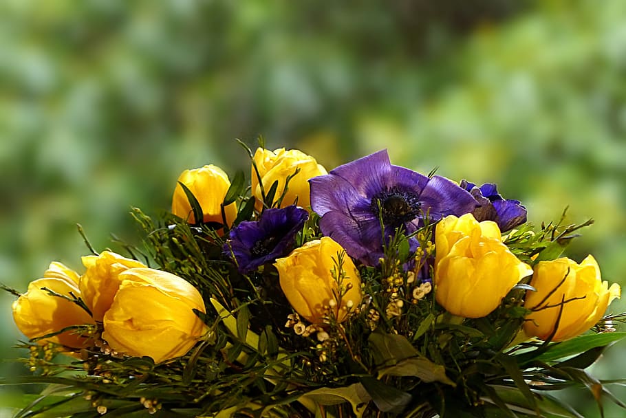 selective focus photography of bouquet of yellow petaled floers, HD wallpaper