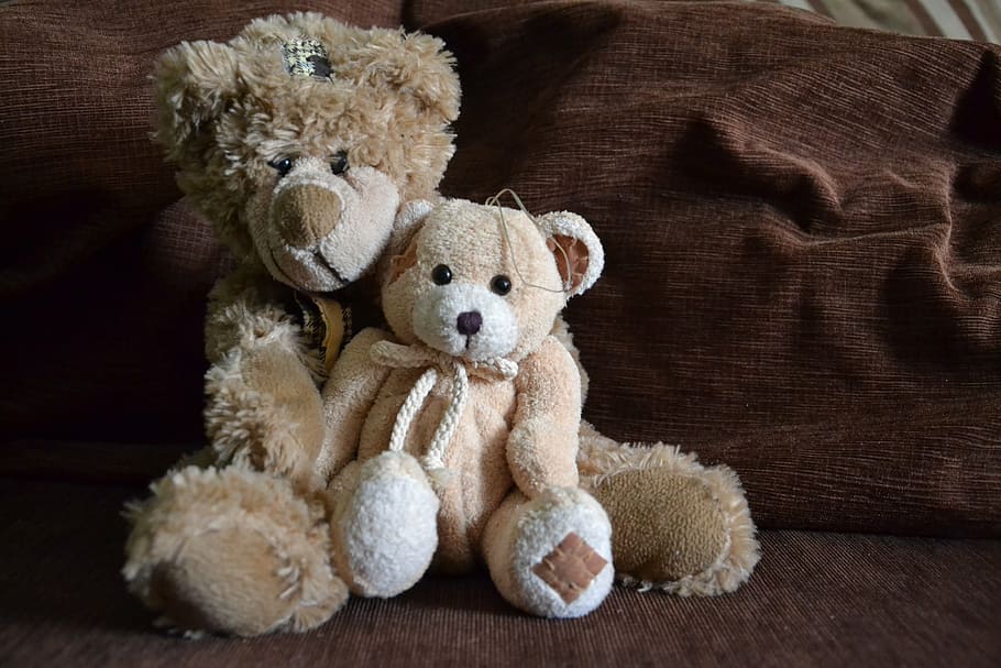 brown bear plush toy beside bear plush toy, bears, misiak, toys, HD wallpaper