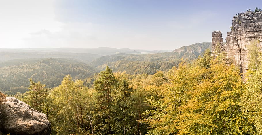 Green Field of Pine Tree, cliff, daylight, fall, hills, horizon HD wallpaper