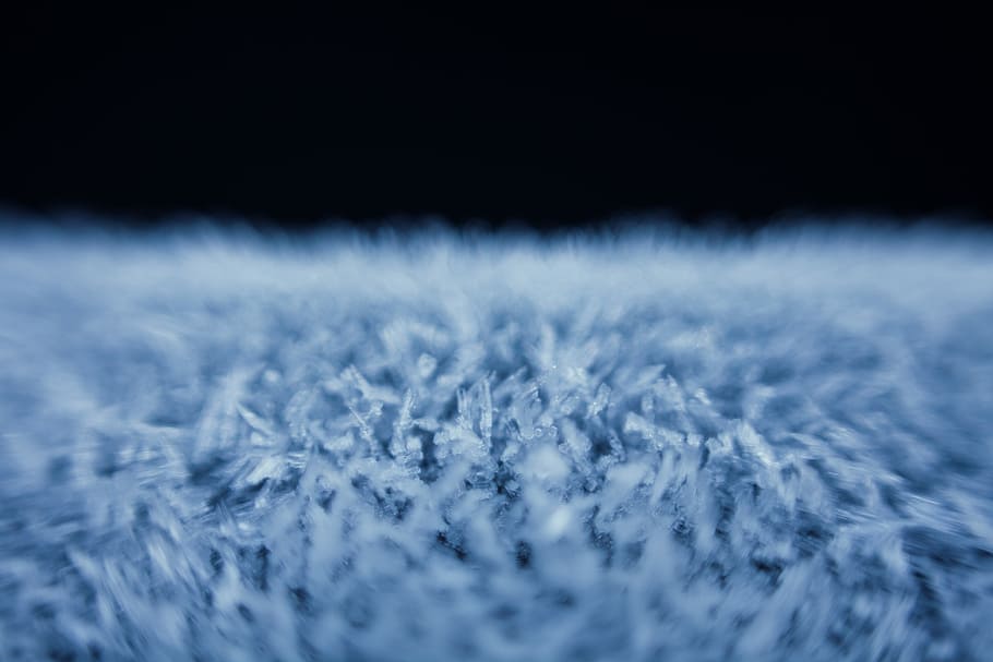 untitled, frozen, ice, blue, white, snow, winter, selective focus HD wallpaper
