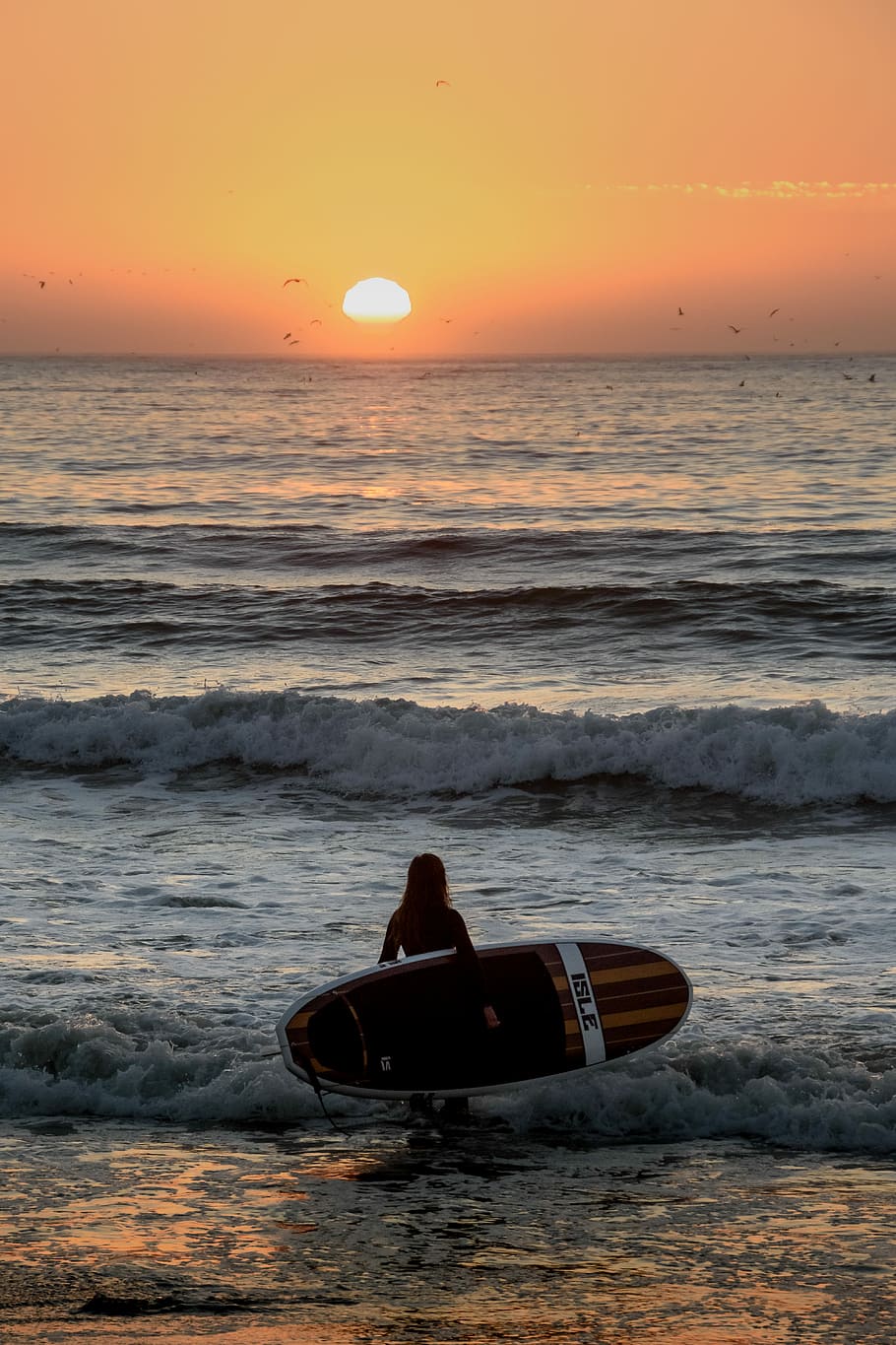 person carrying surfboard on seashore during sunset, silhoutte photo of a person towards sea wave holding surfing board during golden hour HD wallpaper