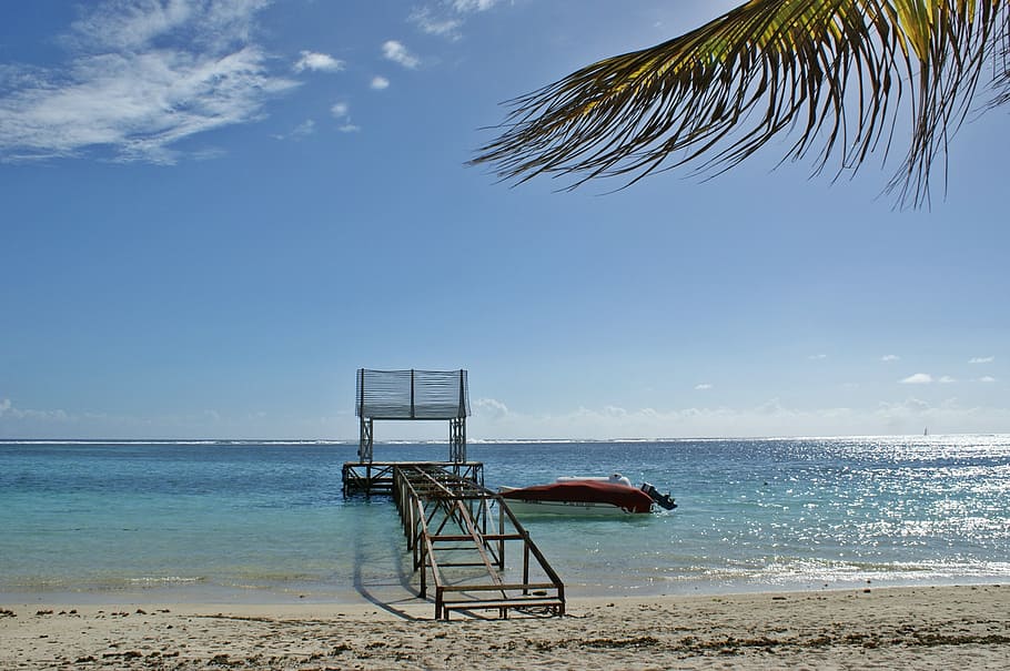 ocean, summer, sunshine, mauritius, palm tree, water, sky, holiday HD wallpaper
