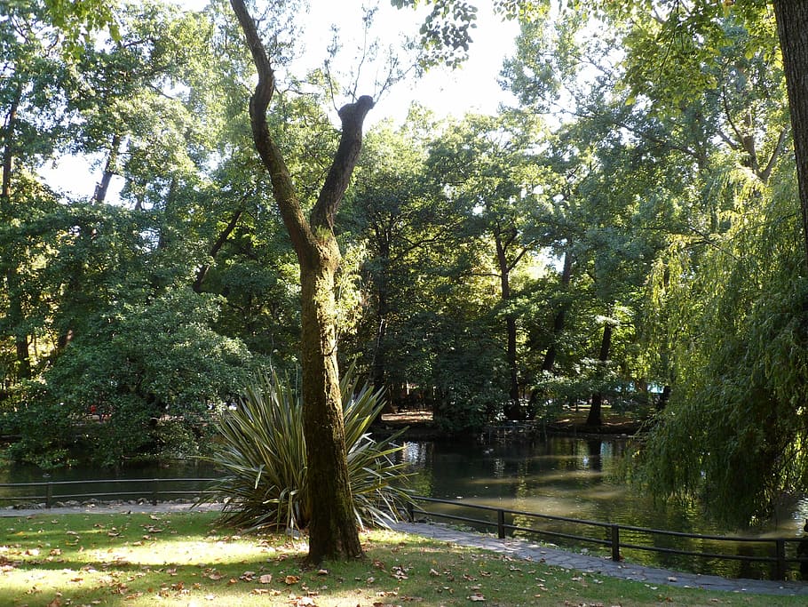 park, summer, river, forest, light, spain, blue sky, reservoir HD wallpaper