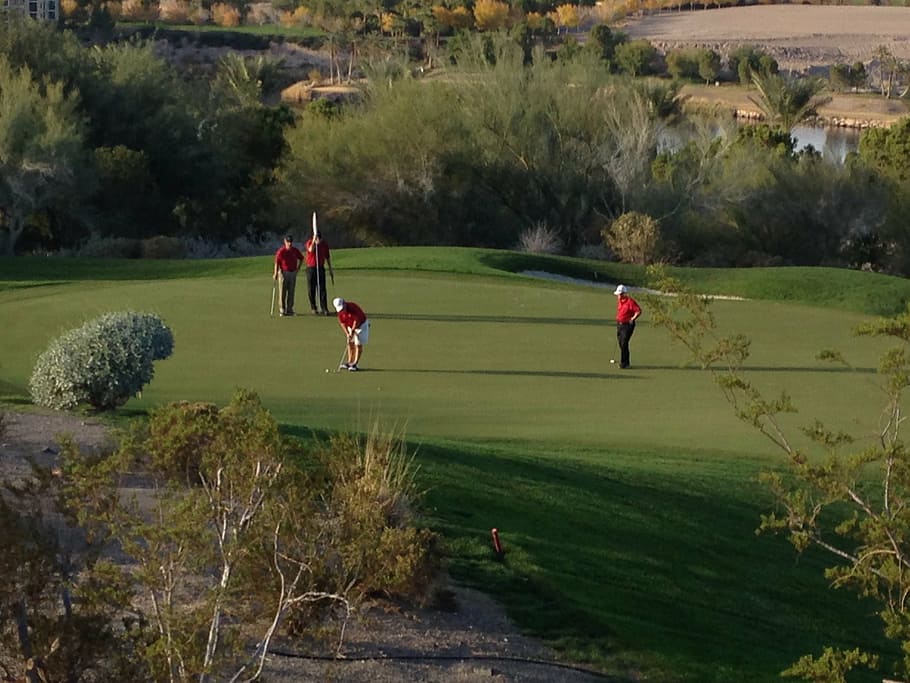 golf, green, golfing, putting, sport, plant, grass, leisure activity HD wallpaper
