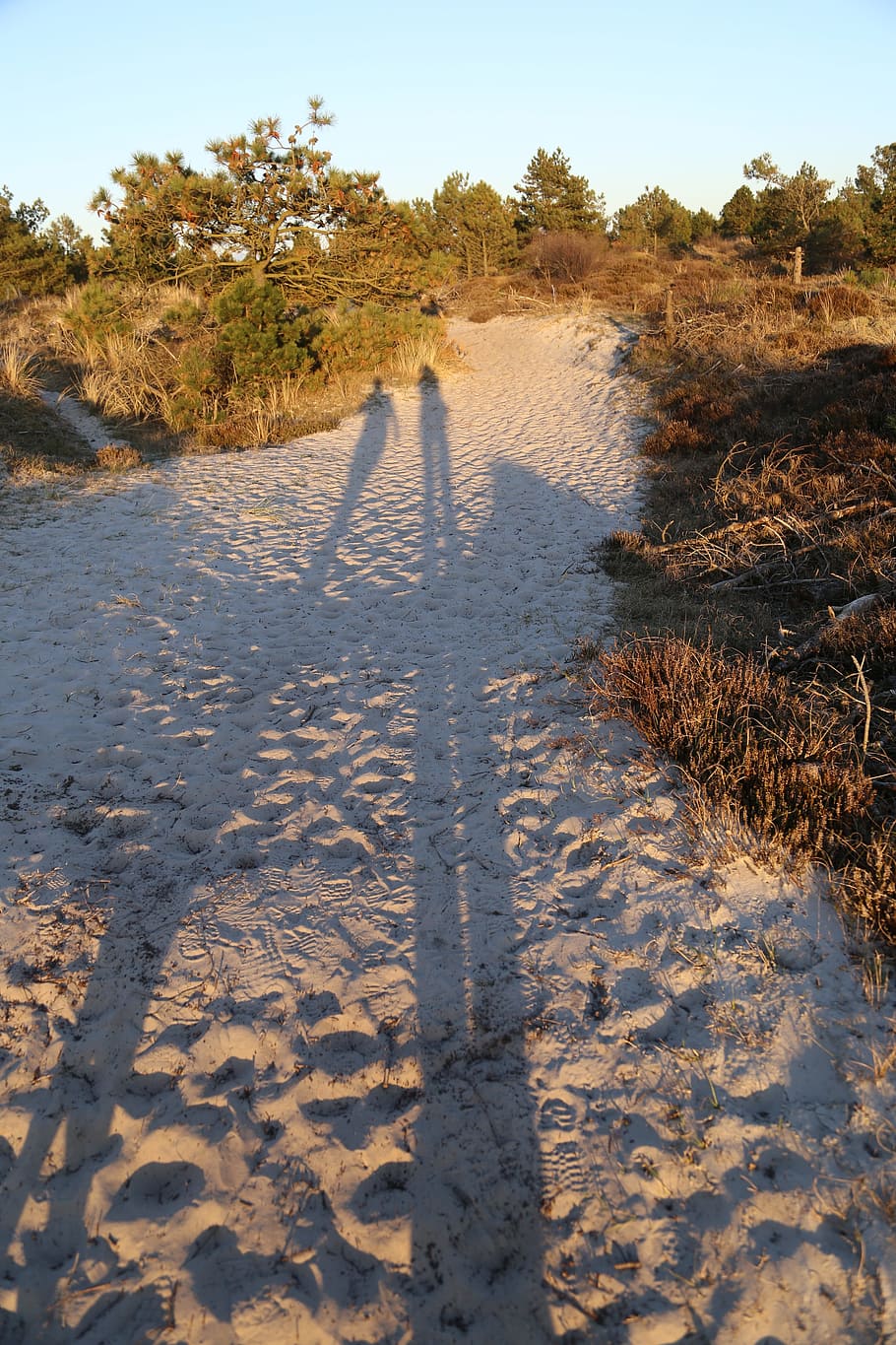 Dunes, Sunset, People, Shadow, Travel, summer, nature, sand HD wallpaper