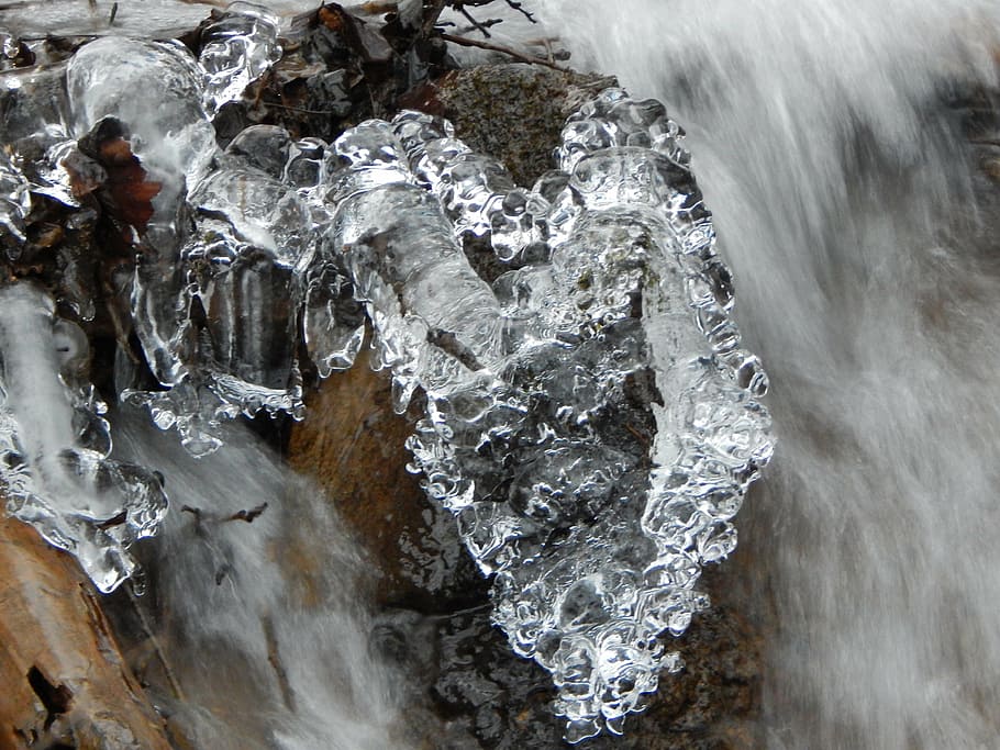 ice, water, cold, winter, frost, frozen, nature, waterfall HD wallpaper
