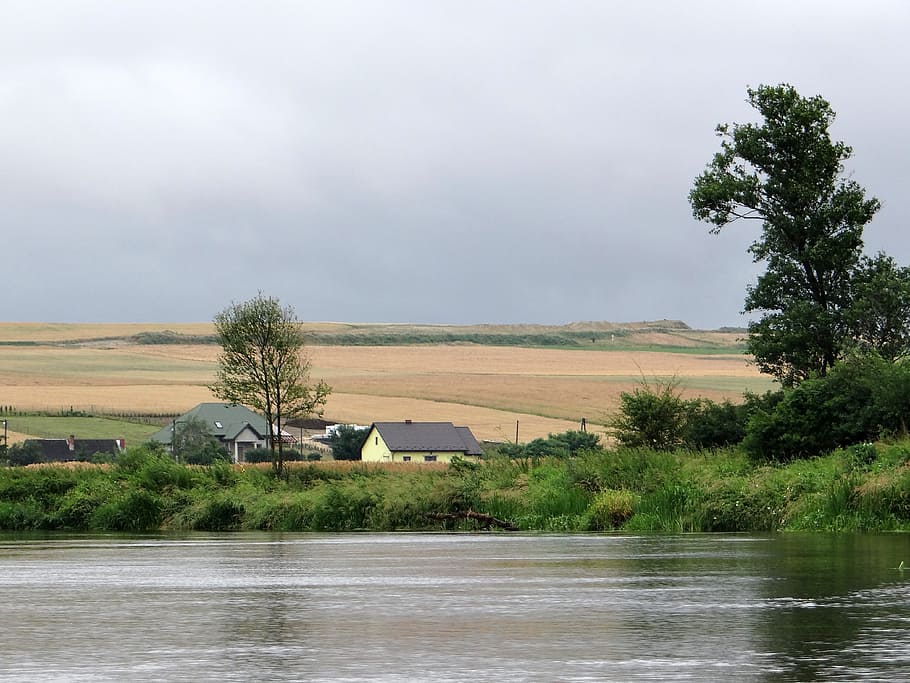 the river nida, landscape, fields, tree, village, view, the cultivation of, HD wallpaper