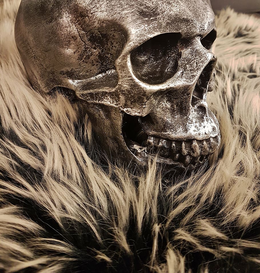 skull, head, face, frame, demon, close-up, mask, disguise, no people HD wallpaper