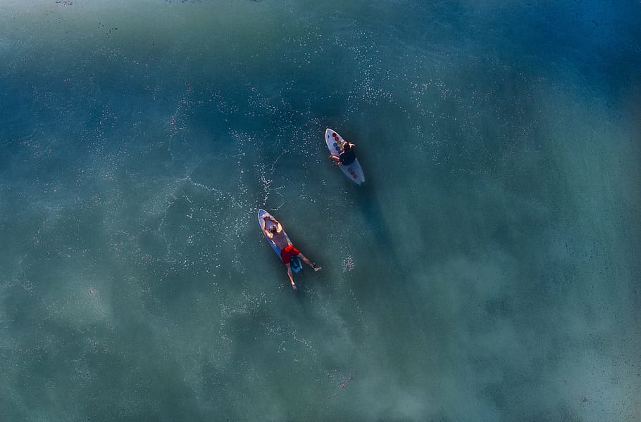 top view photography of two persons on blue surfboard at daytime, areal view photography of two person on surfboard HD wallpaper