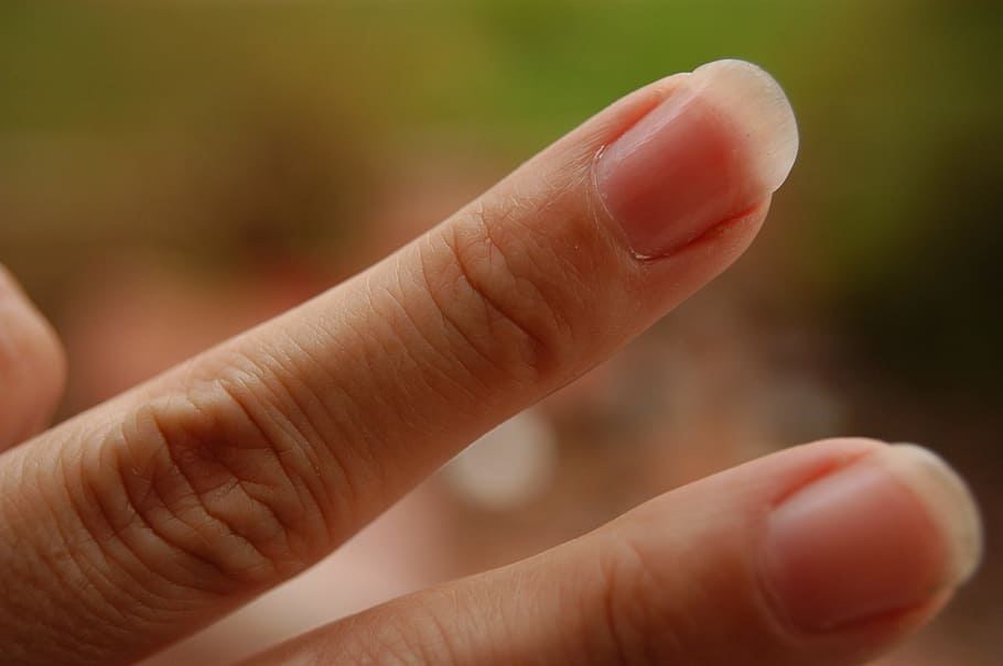 fingers, peace, spring, window, hand, victory, gesture, young HD wallpaper