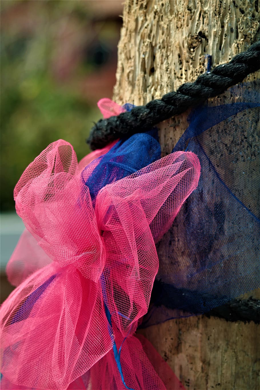 loop, pink, decoration, rope, port, focus on foreground, close-up HD wallpaper