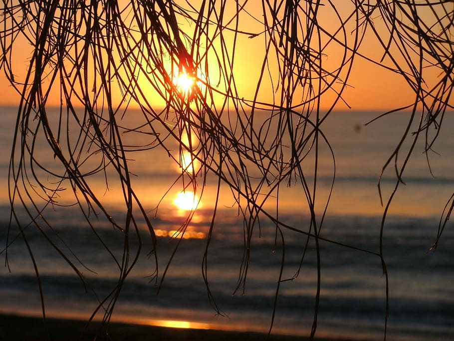 Sea, Sunset, Beach, Setting Sun, romantic, nature, scenics HD wallpaper