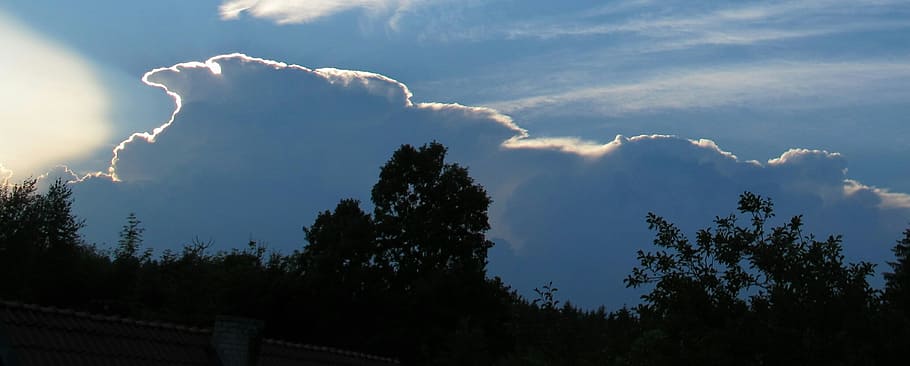 clouds, storm, face, tree, cloud - sky, plant, beauty in nature HD wallpaper