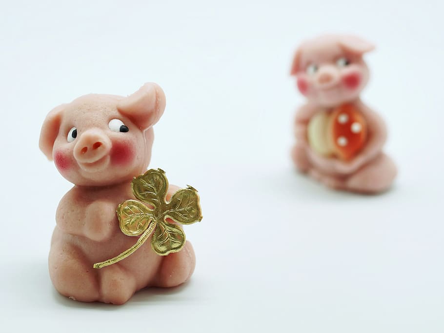 shallow focus photography of pink holding gold clover leaf, luck, HD wallpaper