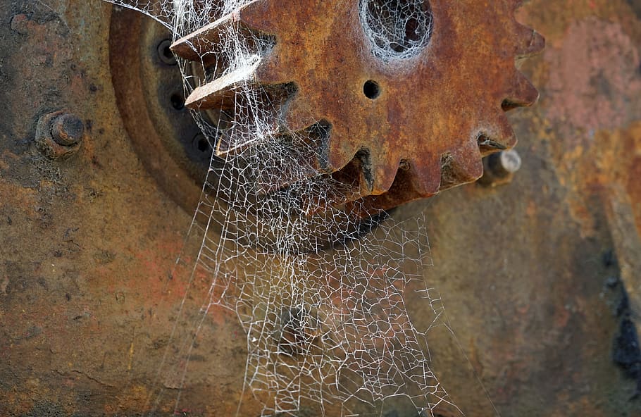 Cobweb, Spider, Spider Webs, Stainless, Gear, network, cobwebs HD wallpaper