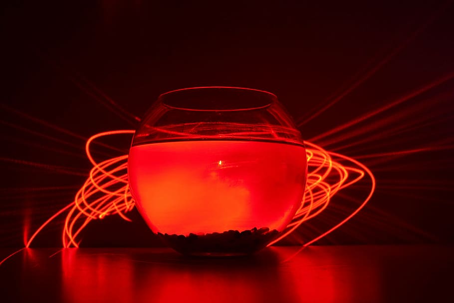 fizyogram, laser, aquarium, red, drink, food and drink, no people HD wallpaper