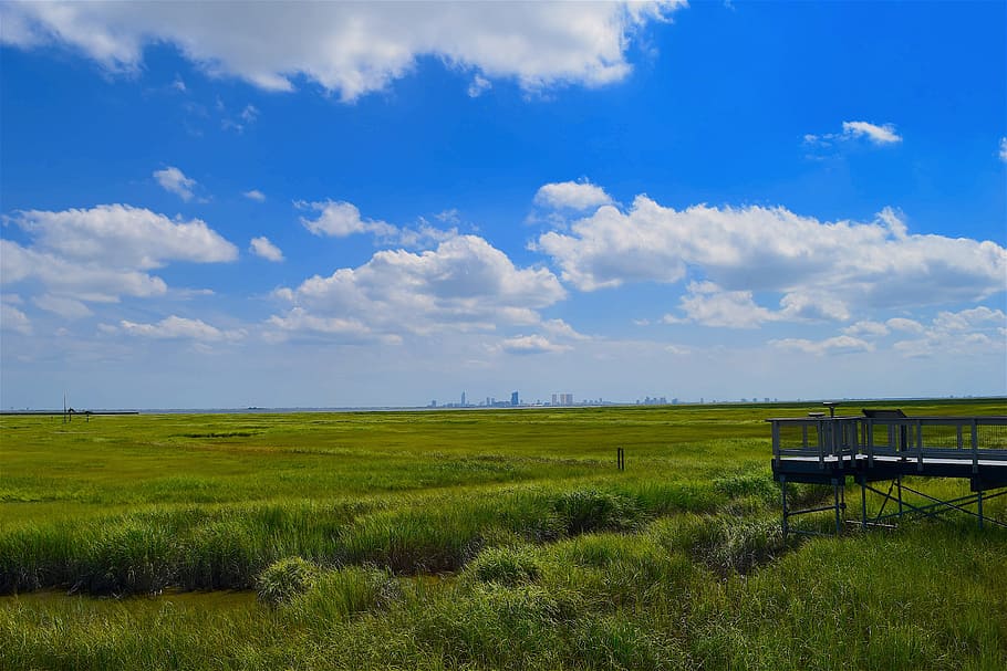 marsh, estuary, water, grass, nature, landscape, green, salt HD wallpaper