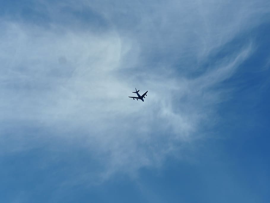 low angle of plane in sky, airplane under blue sky during daytime HD wallpaper