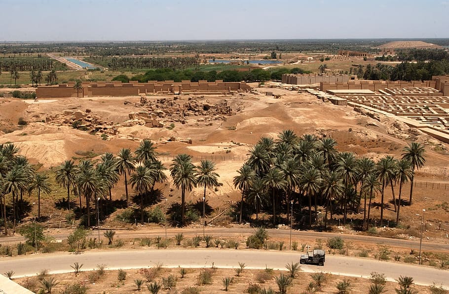 aerial photography of trees, hillah, iraq, landscape, desert