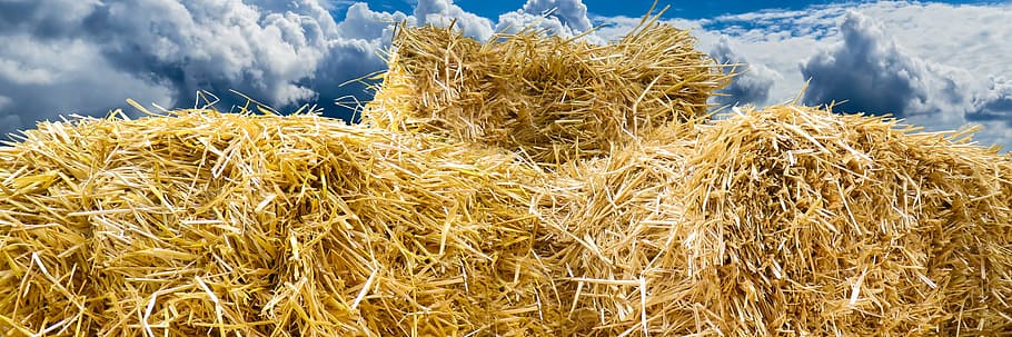 pile of hays, straw bales, autumn, flyers, field, harvest, straw role, HD wallpaper