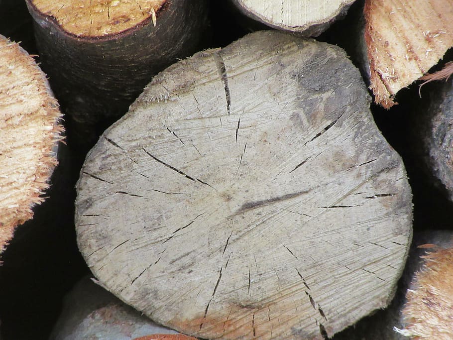 wood, stack, pile, cut, lumber, wooden, texture, wood - material HD wallpaper