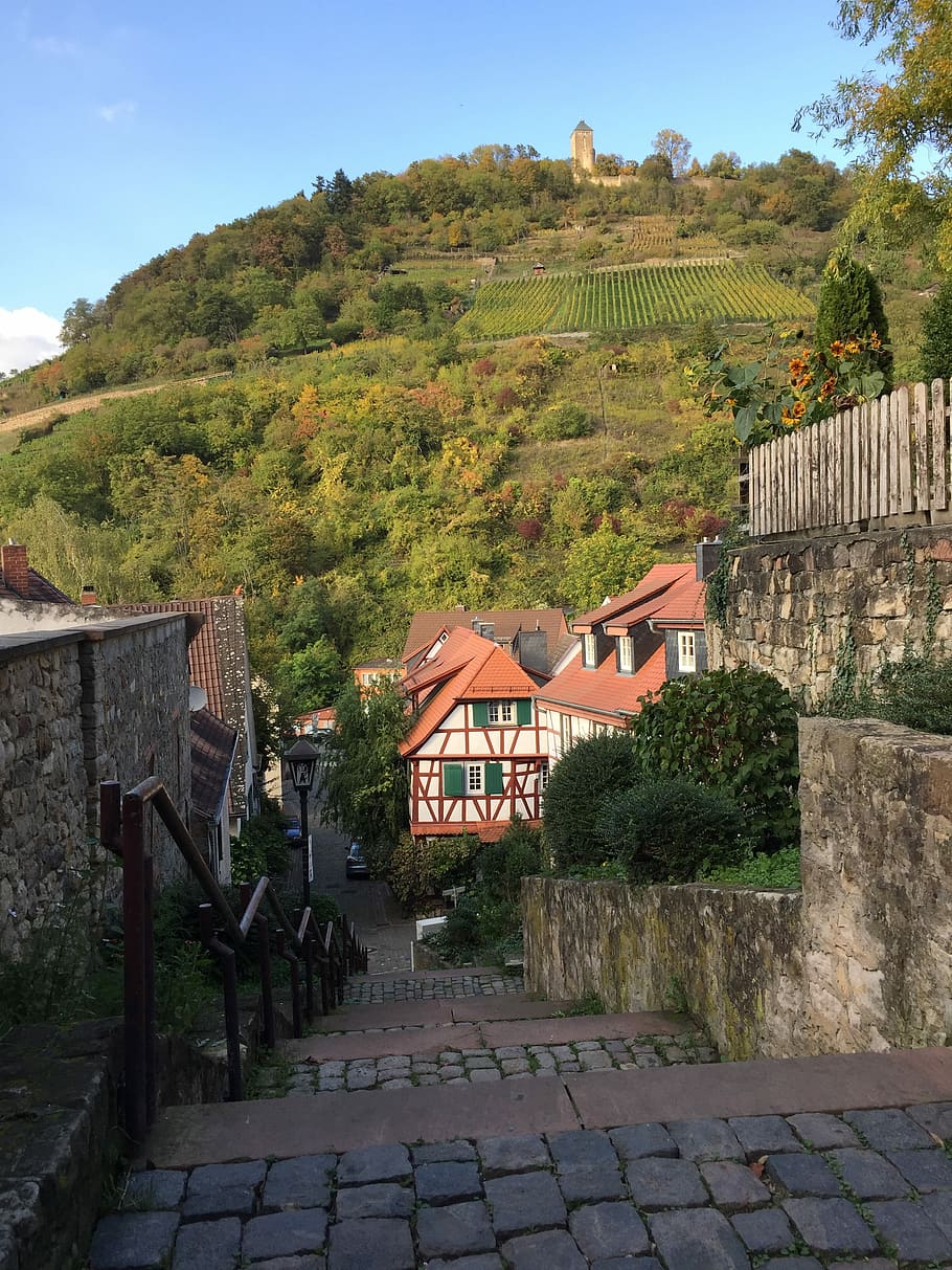 Vineyard, Hesse, Heppenheim, house, architecture, building exterior HD wallpaper