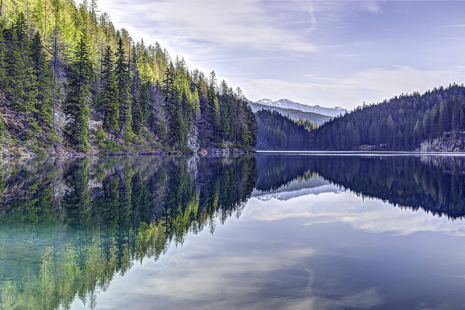 reflection of trees on body of water during daytime, panoramic photo of river and trees during daytime HD wallpaper