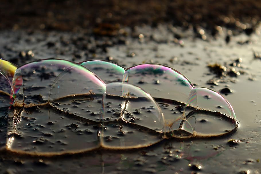 puddle, soap bubbles, blow, water, iridescent, drop, nature HD wallpaper