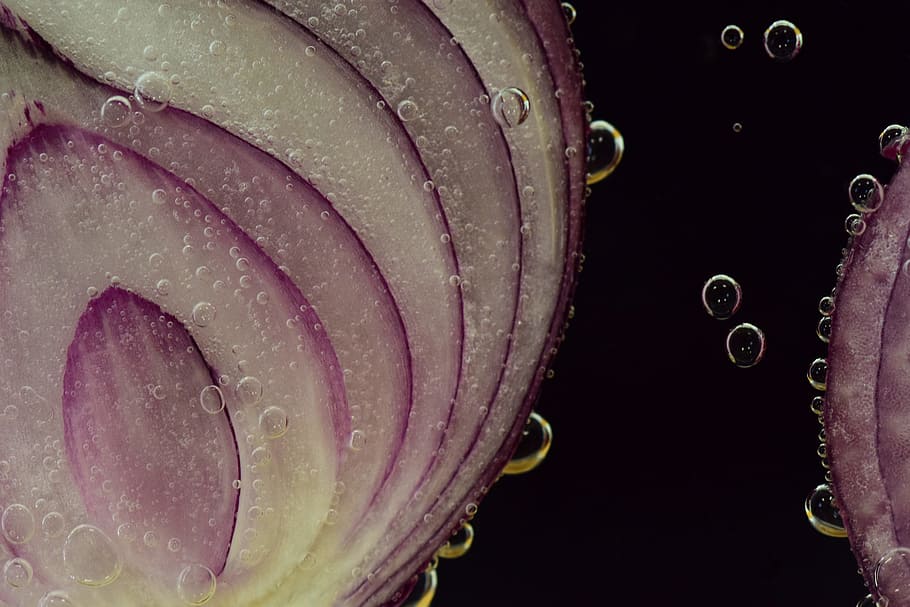 onion, red onion, raw, antibacterial, allium cepa, sliced, layer, HD wallpaper