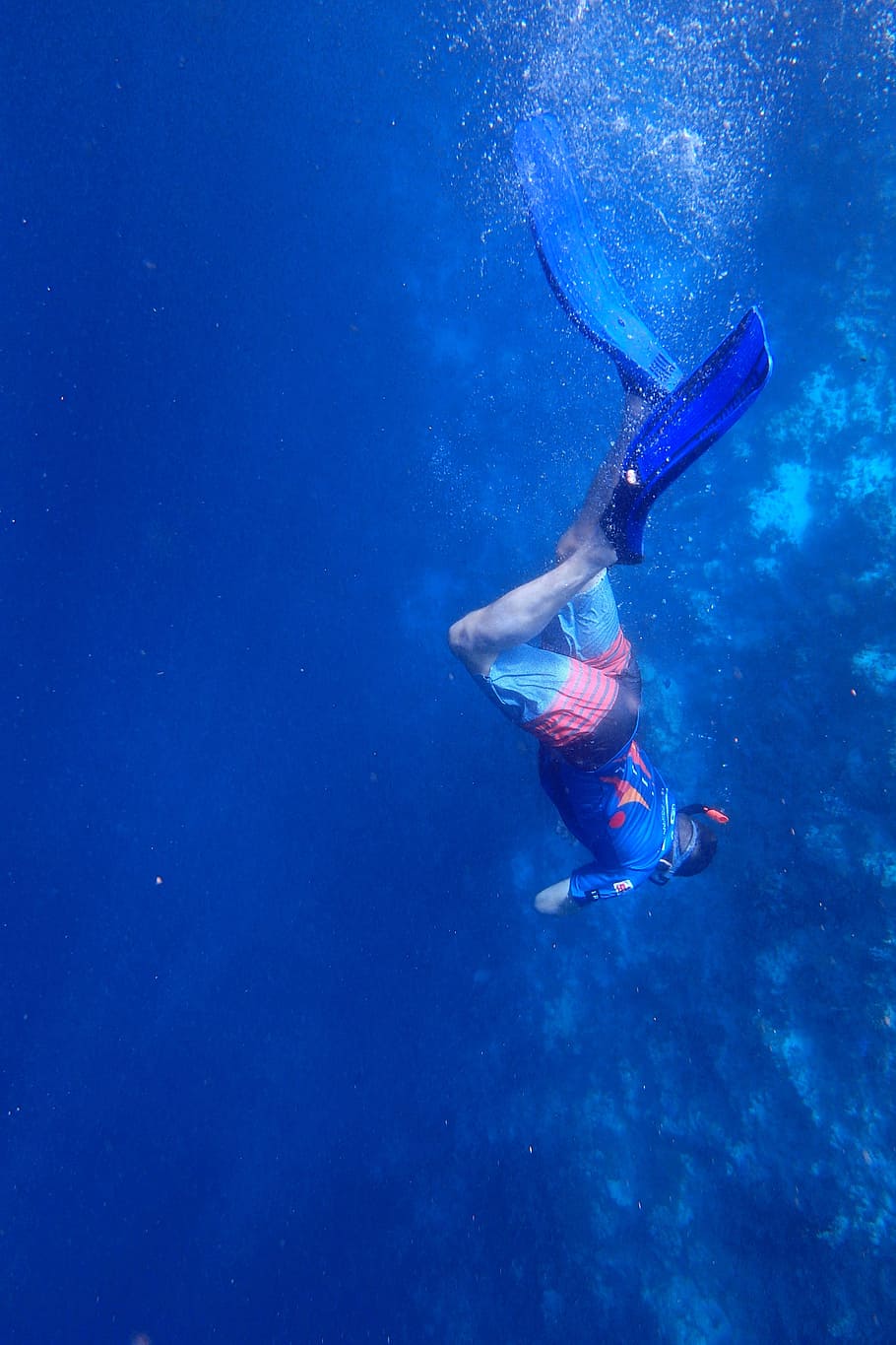 dive, snorkel, boy, underwater, blue, sea, swim, the depths, HD wallpaper