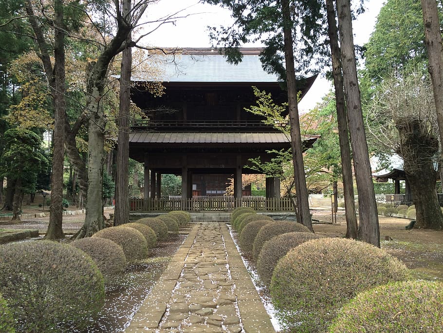 Temple trees