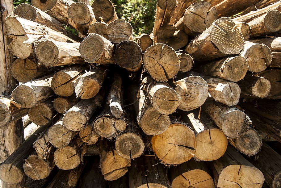 wood, trunks, log, timber, firewood, stack, lumber industry HD wallpaper