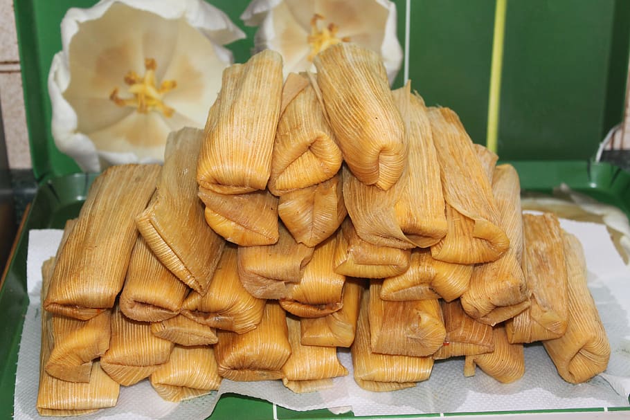 rice cakes, Tamales, Mexico, Food, yellow, cultures, asia, food and drink, HD wallpaper