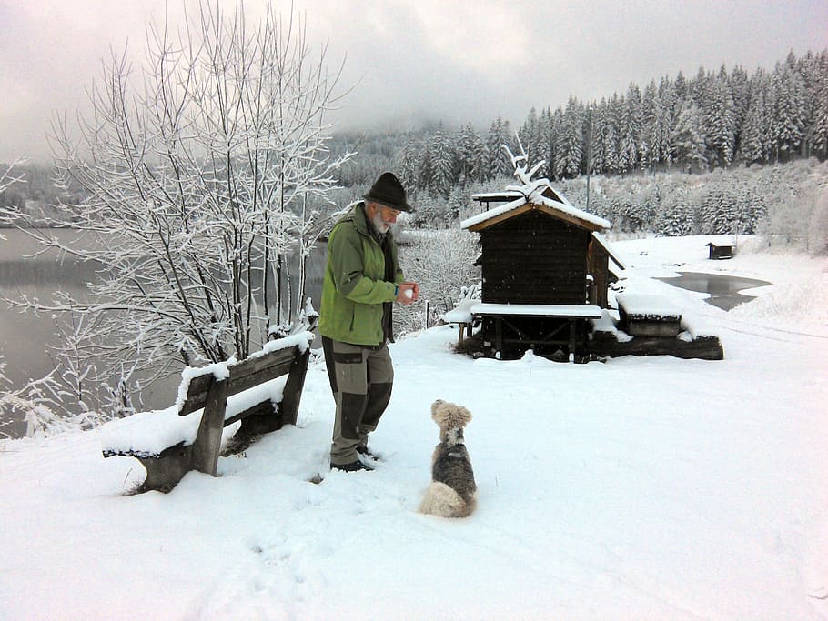 Winter, Cold, Old Man, Dog, Wintry, snow landscape, snow sky HD wallpaper