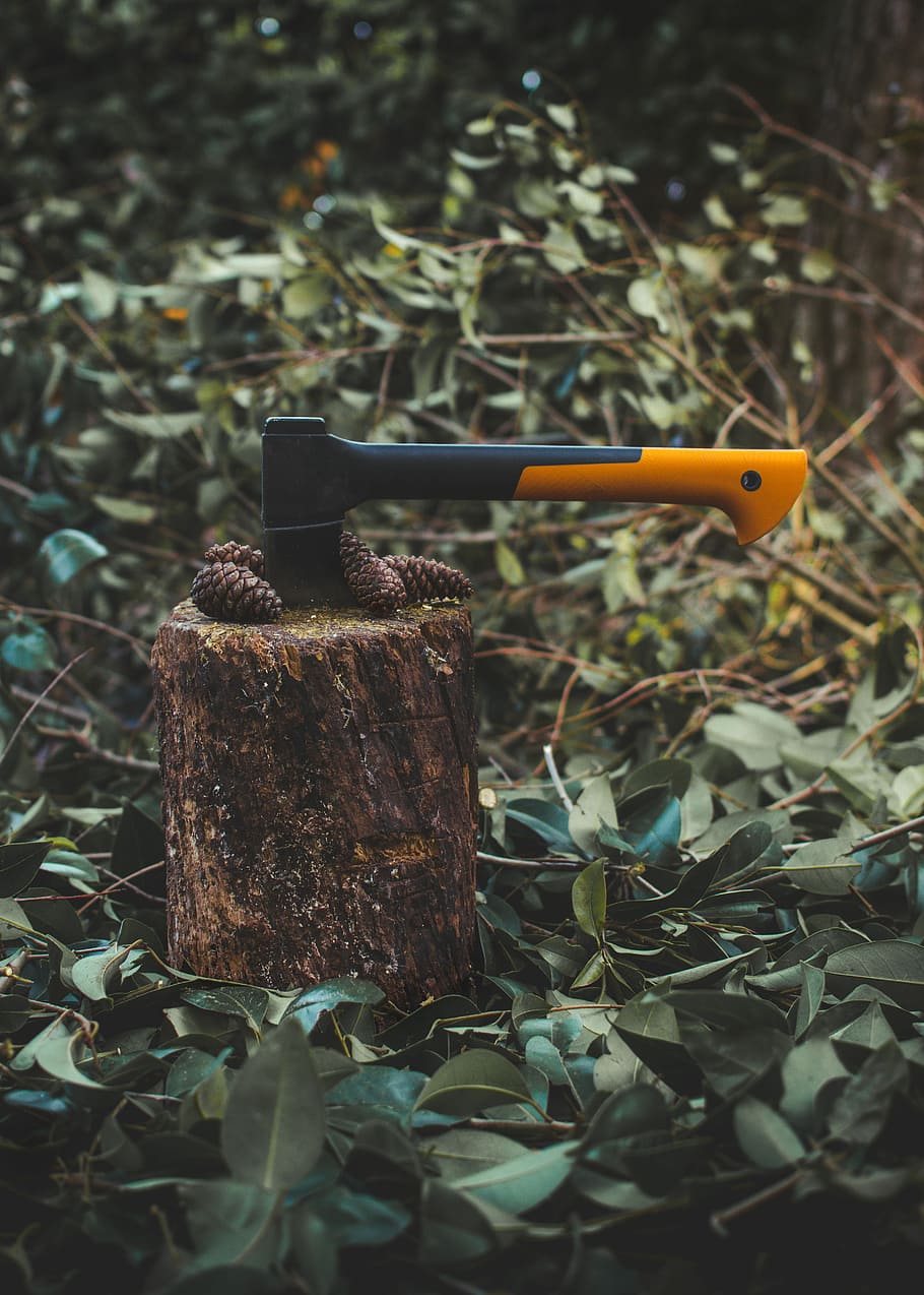 axe on brown tree log, orange hatchet on wood slab with pine cone s HD wallpaper