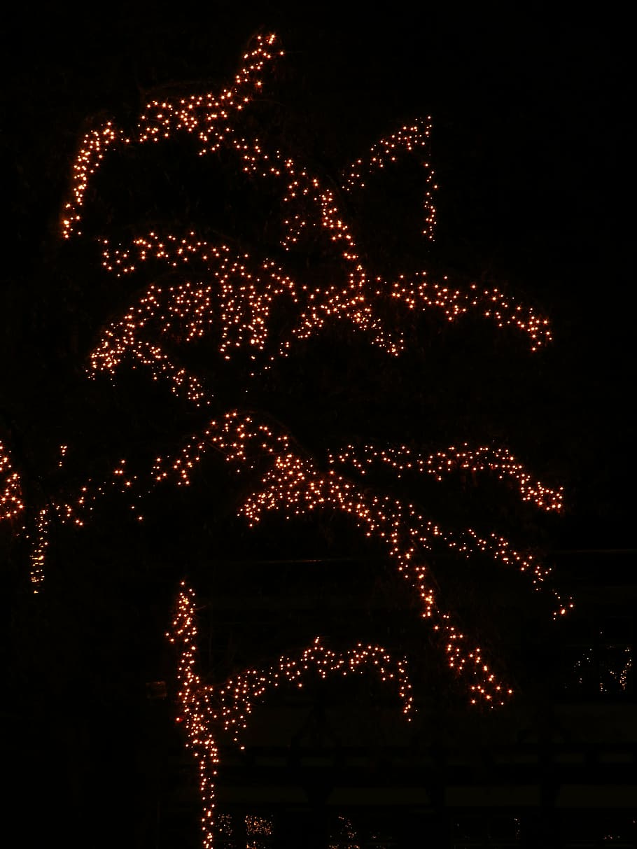 tree, deco, decoration, lights, lichterkette, night, dark, christmas HD wallpaper
