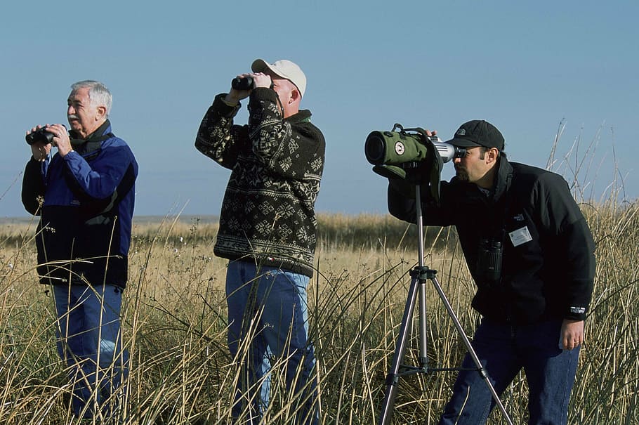 birdwatching, stand, group, men, male, people, camera - photographic equipment HD wallpaper