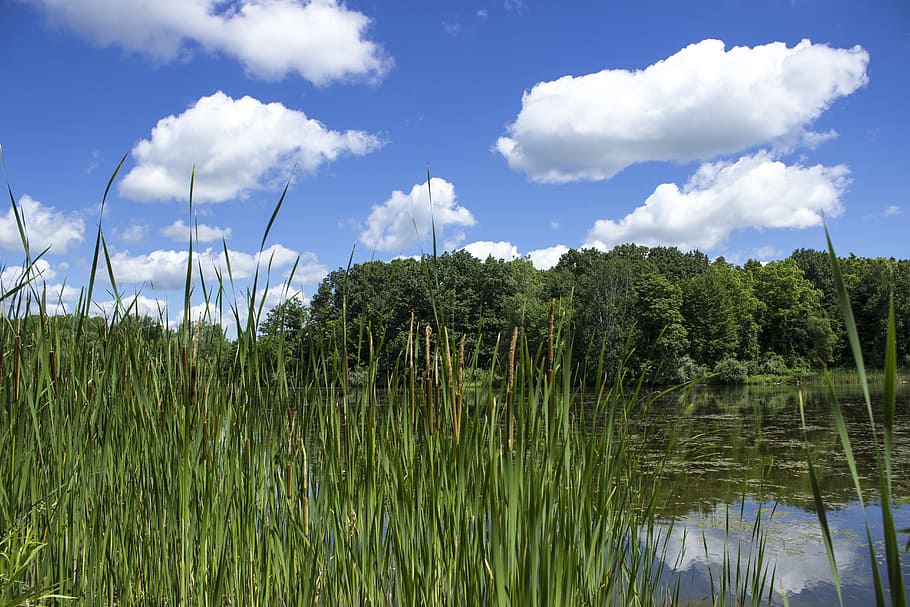 summer, clouds, lake, landscape, scenery, outdoor, blue, sky HD wallpaper