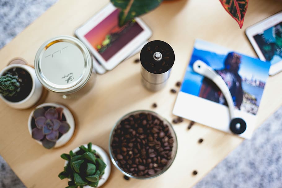 flatlay photography of green succulent plants, coffee beans in glass bowl near succulent plants HD wallpaper