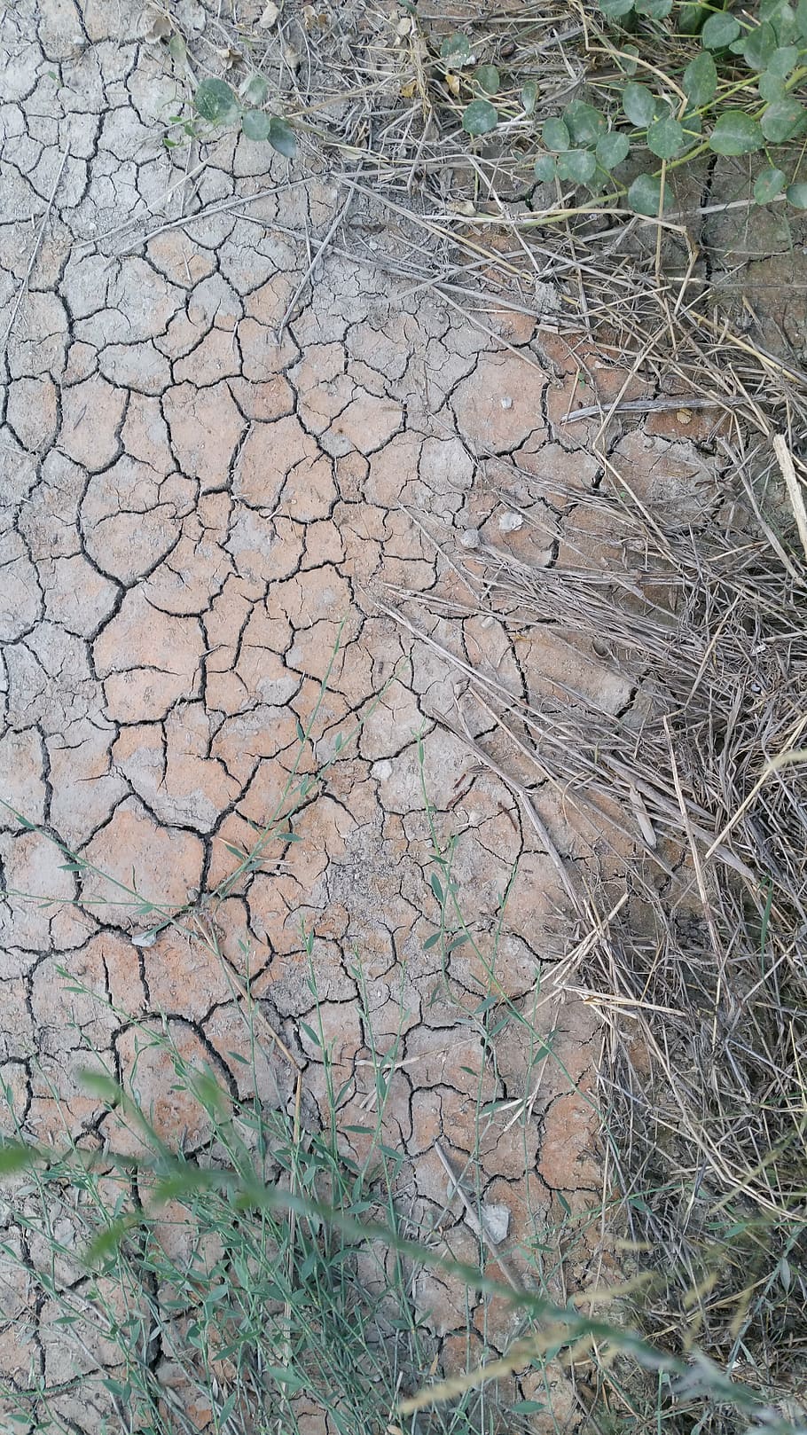 ground, dryness, drought, climate change, crete, nature, cracked HD wallpaper