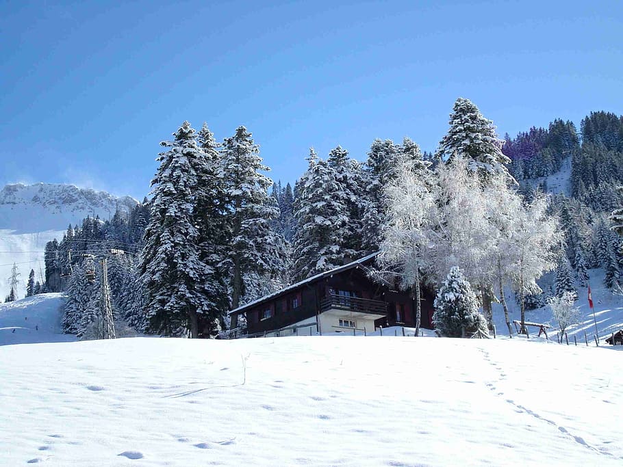winter, snow, wintry, mountain, mountains, landscape, nature HD wallpaper