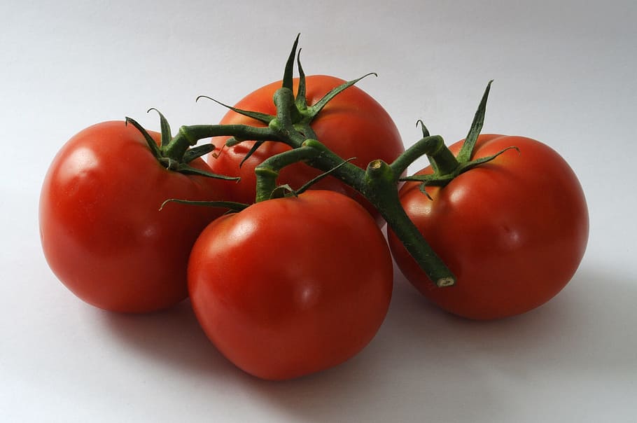 tomatoes, fresh, vegetables, healthy, farmers market, nutrition HD wallpaper