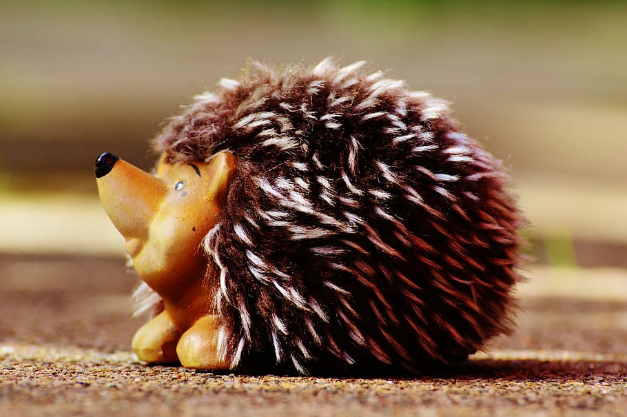 hedgehog, ceramic, plush, funny, cute, soft toy, bird, one animal HD wallpaper